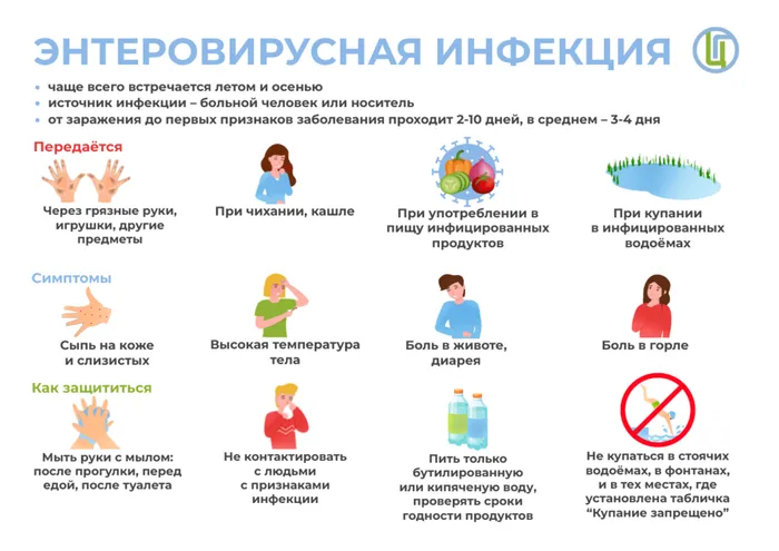 энтеровирус 1